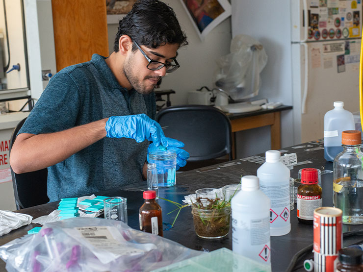 A student wearing blue latex gloves works with specimens at a table in a biology lab.