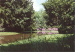 Graver Arboretum