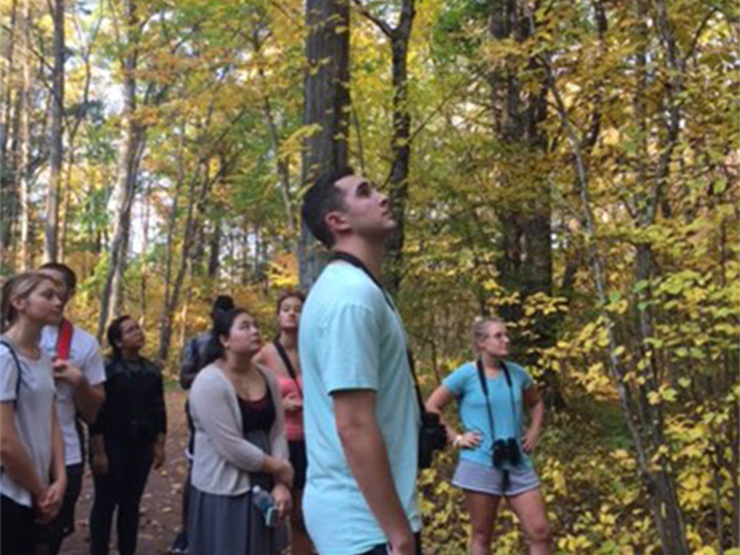 A group of students visiting a forest crane their necks as they look up a the trees.