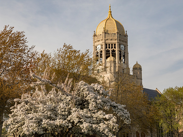 Outdoor view of Muhlenberg College clocktower behind white flowering tree on campus.