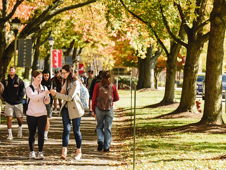 Students make their way down a college walkway, covered in fallen autumn leaves. Two in front smile as they share a phone between them.