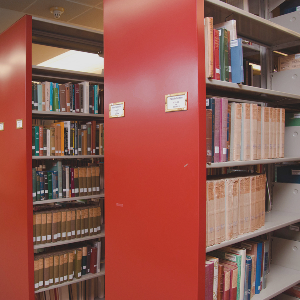 Decorative image of the Library's book shelves