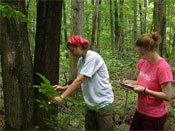 Graver Arboretum