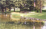 Graver Arboretum
