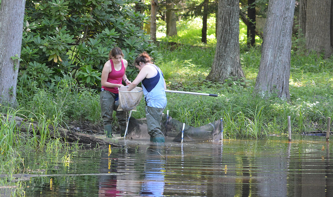 Graver Arboretum Research