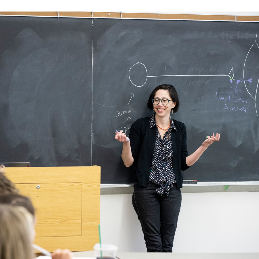 A female instructor stands at the chalkboard in front of a classroom smiling, a diagram drawn on the board behind her.