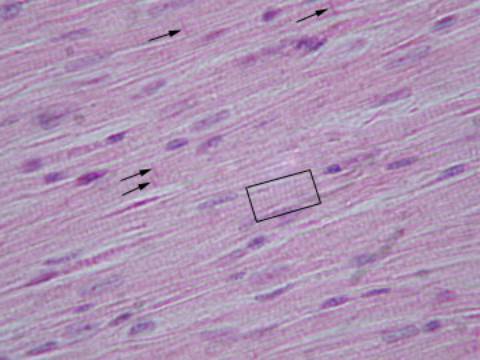 Biology Department Courses