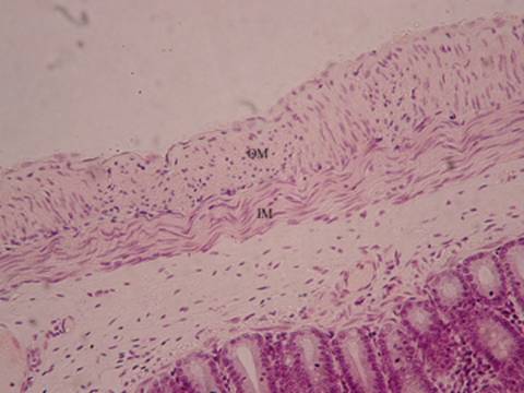 Biology Department Courses