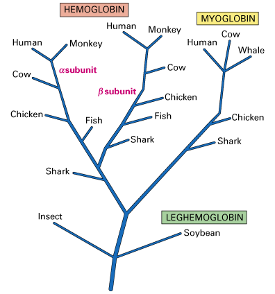 Biology Department Courses