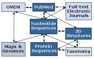 Biology Department Courses