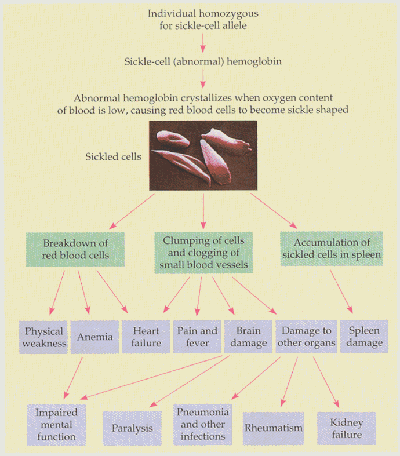 Biology Department Courses