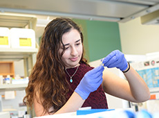 Student working in science laboratory