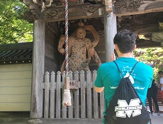 Image for Study Abroad