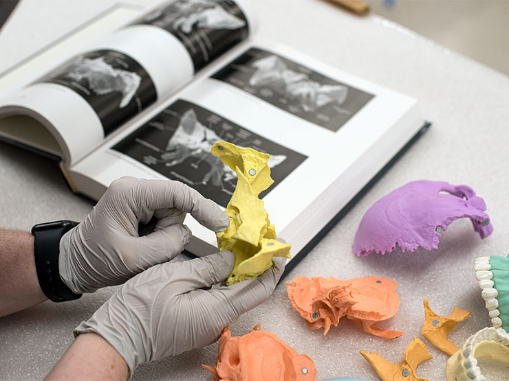 Gloved hands work with colorful molds that make up parts of a skull with an open book of diagrams nearby.