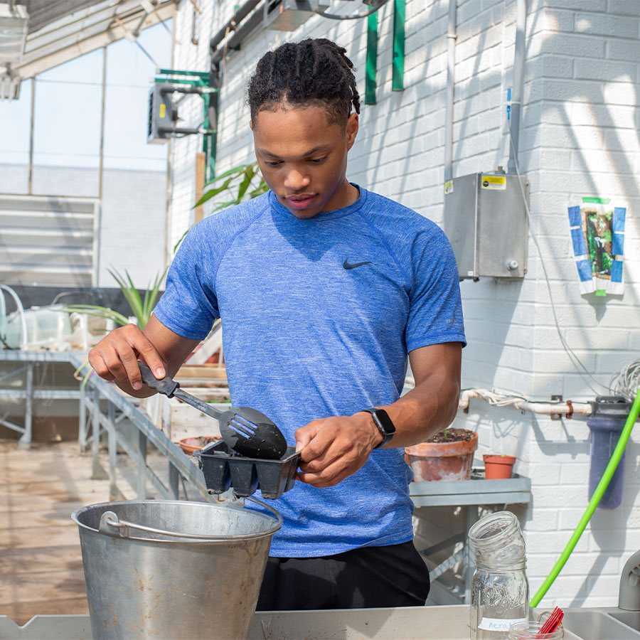 A young adult working in a greenhouse shovels soil from a metal bucket into a seed tray.