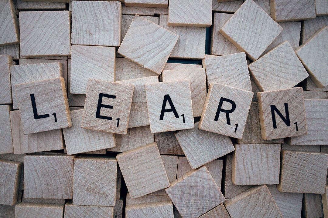 Image for Jewish Learning Opportunities