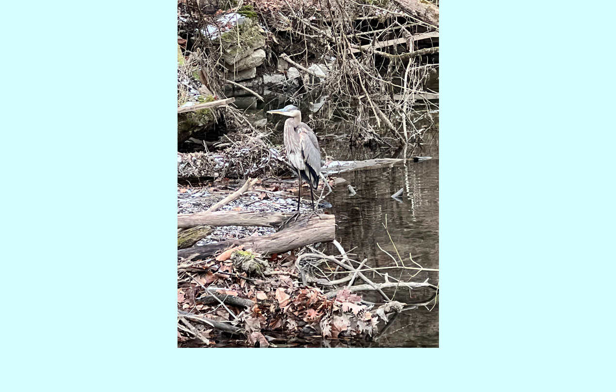 Image for Log off, Unplug and Explore – near Monocacy Creek in Bethlehem Township (Mental/Emotional)
