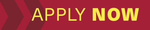 A maroon button with yellow lettering that reads APPLY NOW