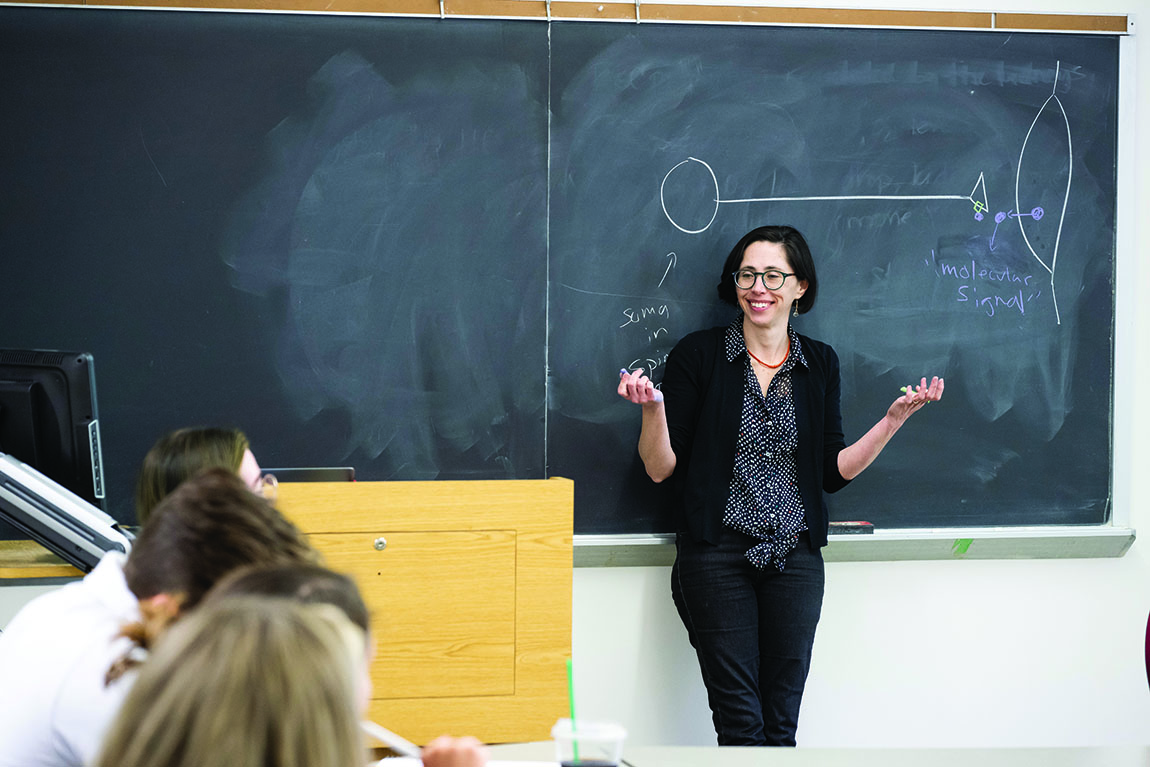 A professor stands in front of a chalkboard in front of a classroom, talking to her students