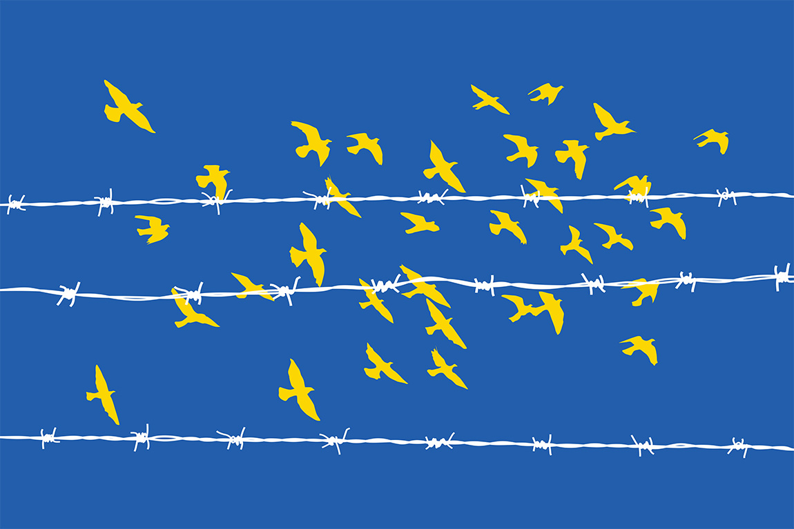 Image for Migration Risks