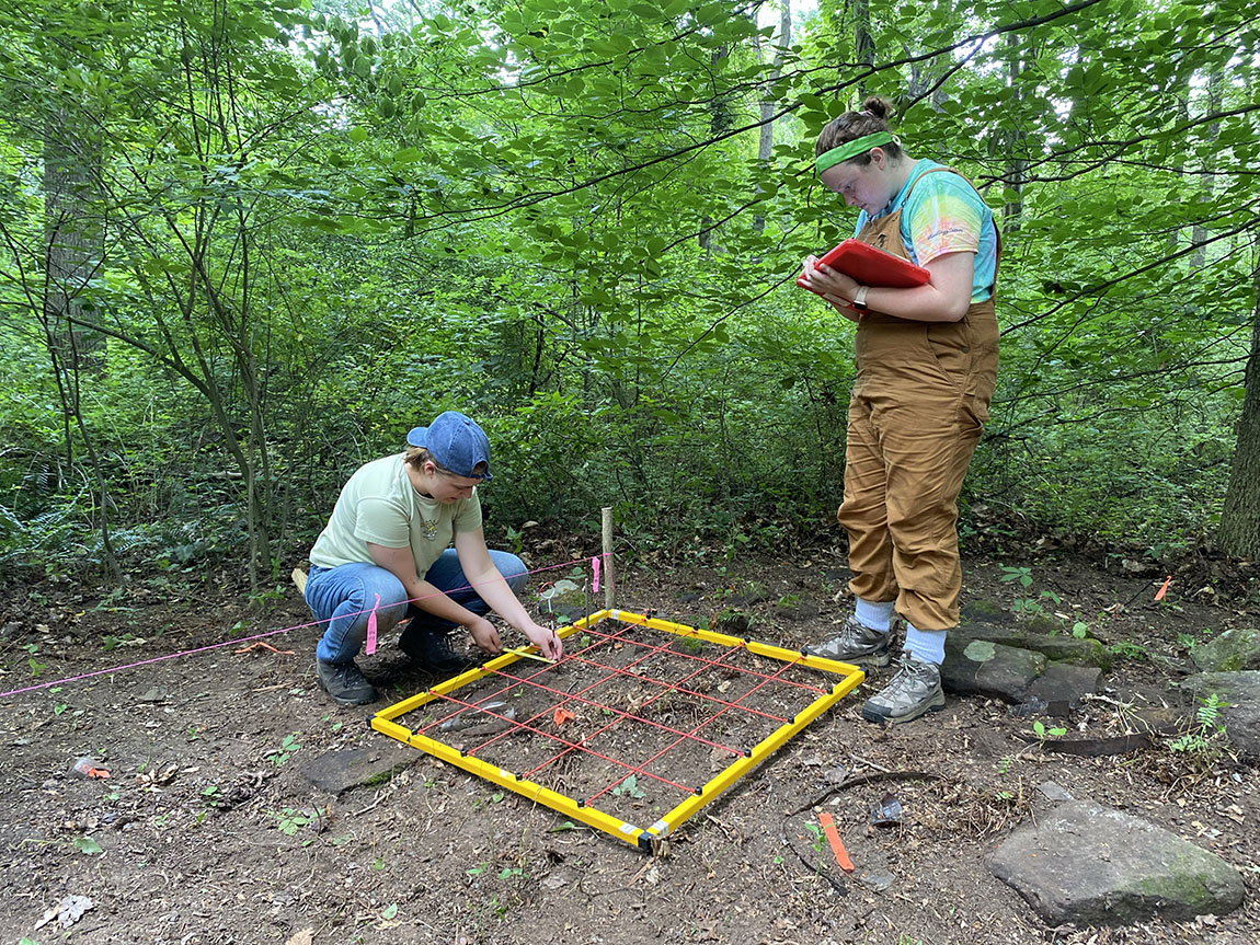 Two college students in the woods record the site of an old home