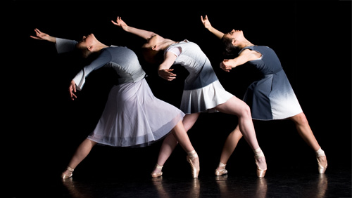 Image for The Dance Program