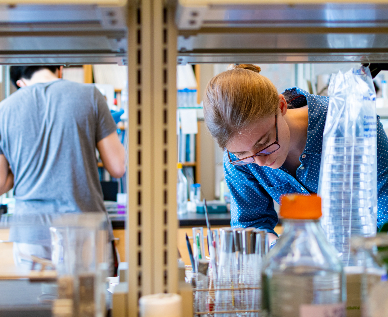 A student working in the lab