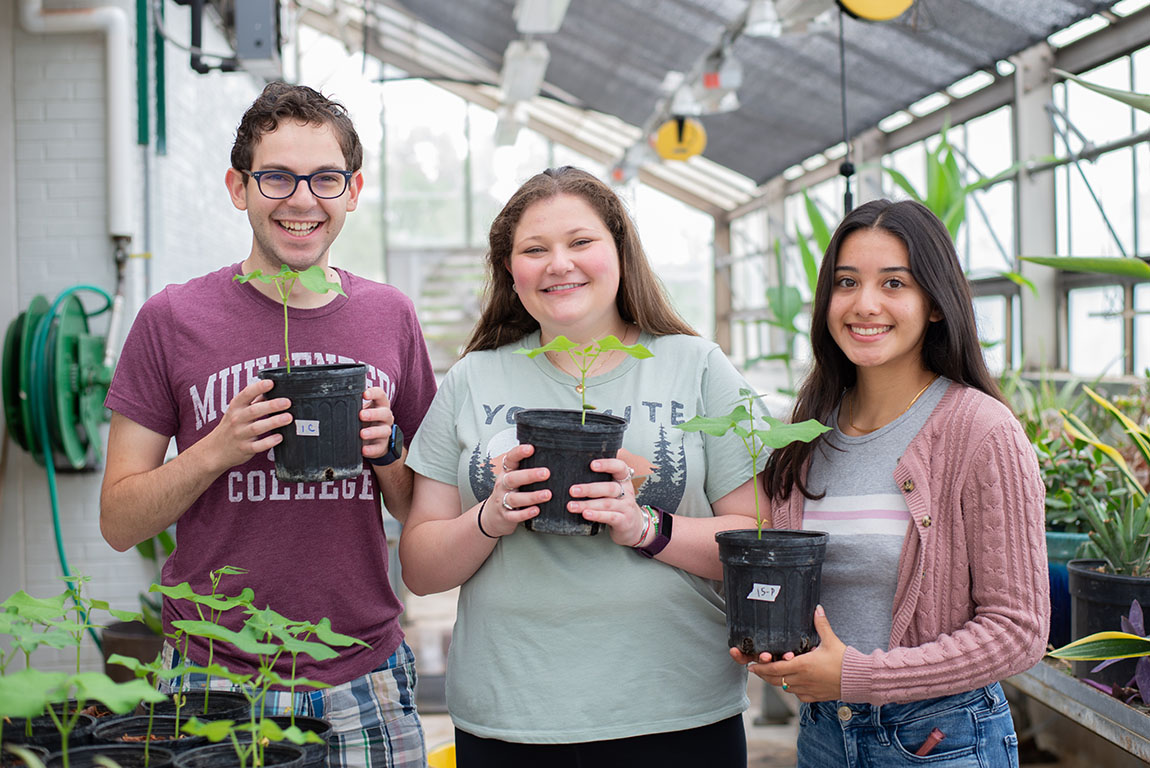 Academic Partnership with American University