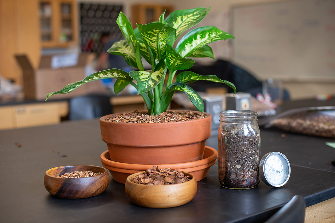 Photo for Muhlenberg NOW