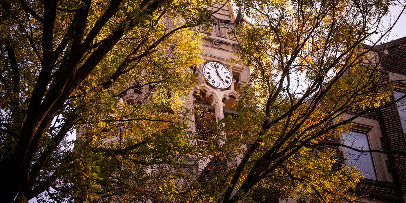 Haas building clocktower through tree branches
