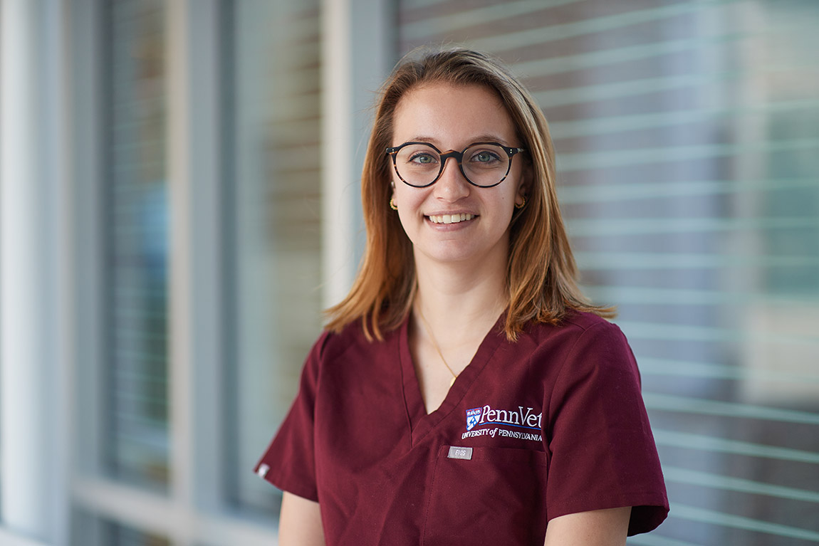 Building a Strong Foundation for Veterinary School, in the Classroom and the Lab