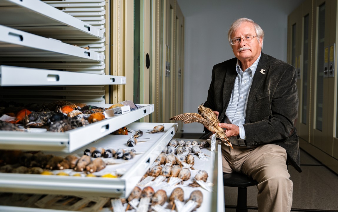 Muhlenberg Bird/Glass Collision Research Featured in ‘National Geographic’