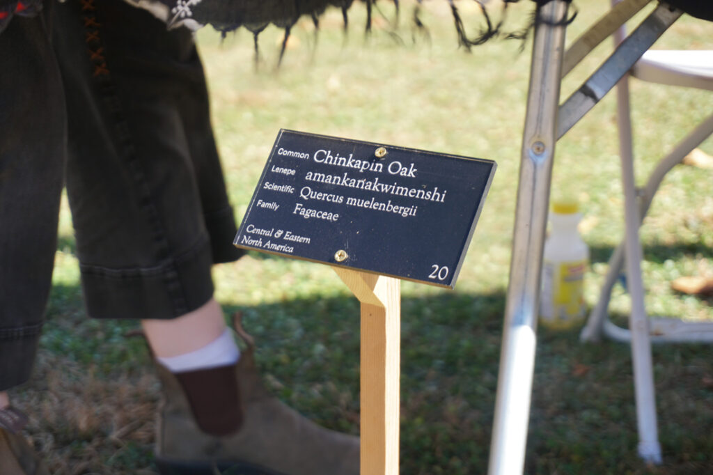 Indigenous Initiatives A Hitekw Project plaque.