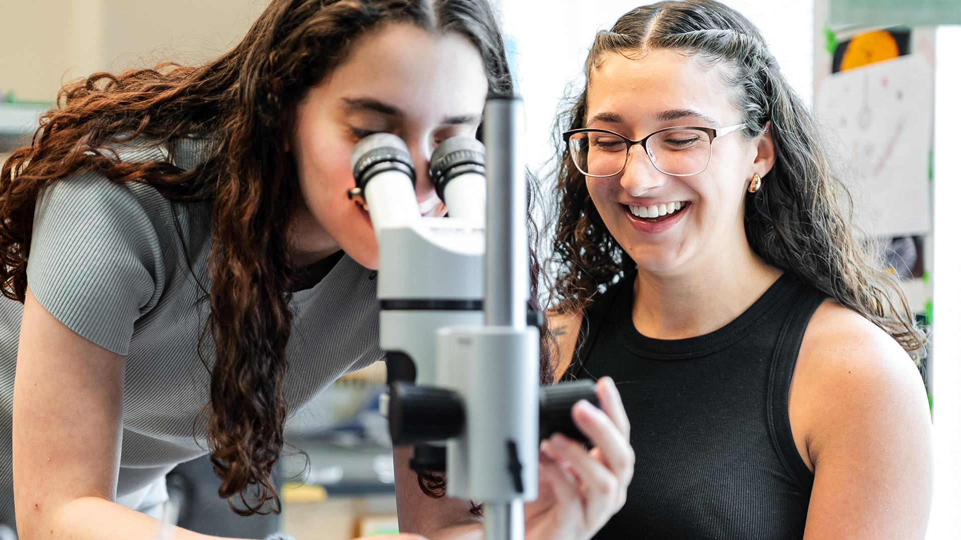 Shankweiler Scholars