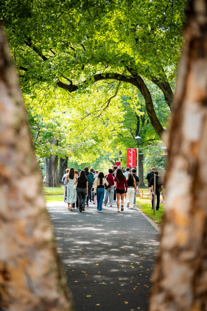 Students walk down Muhlenberg College's Academic Row