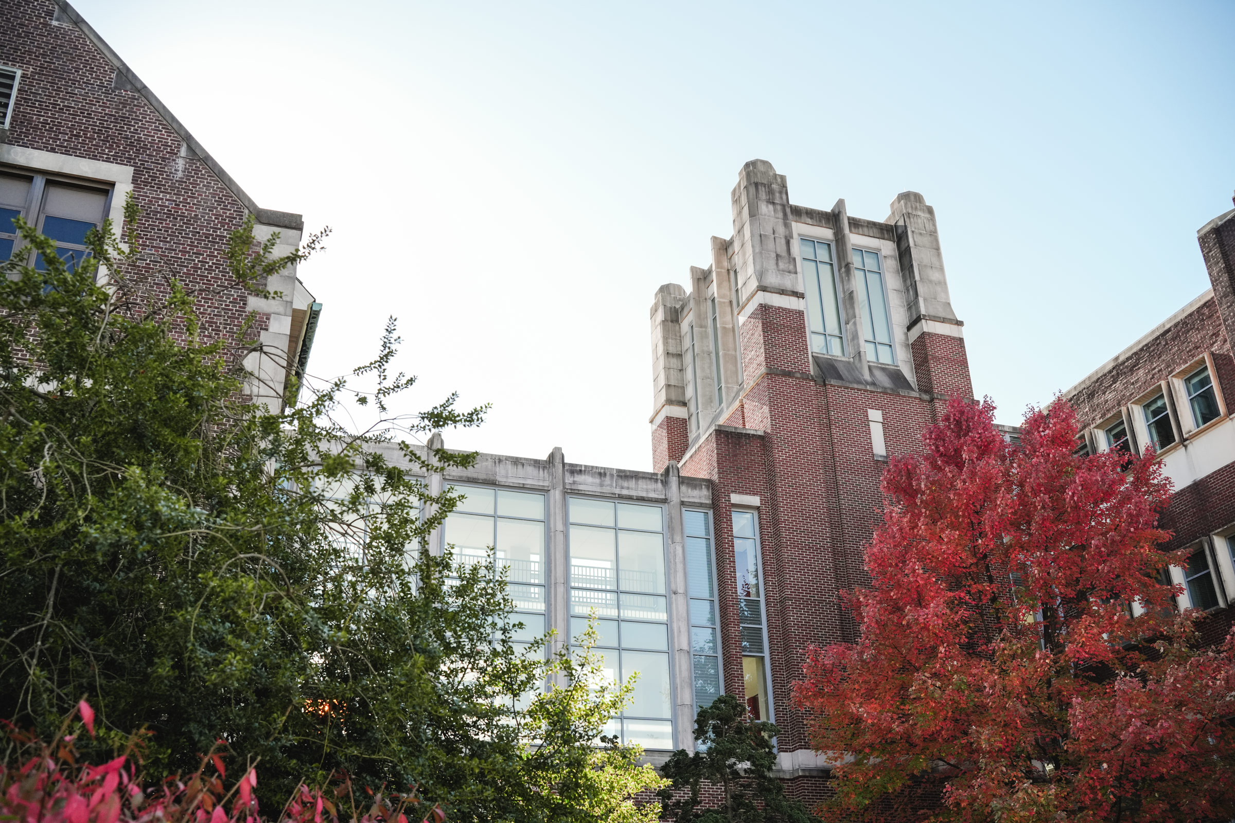 Office of Disability Services