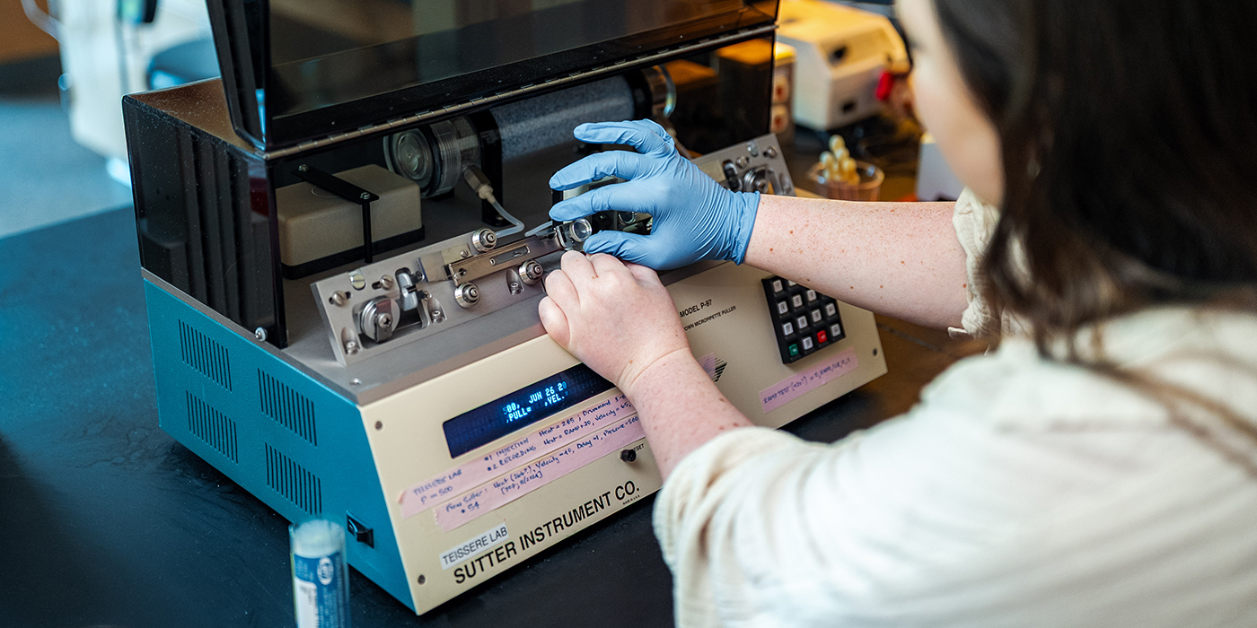 Student Summer Grants