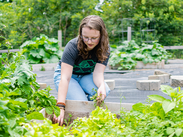 Student works with potting plants outside