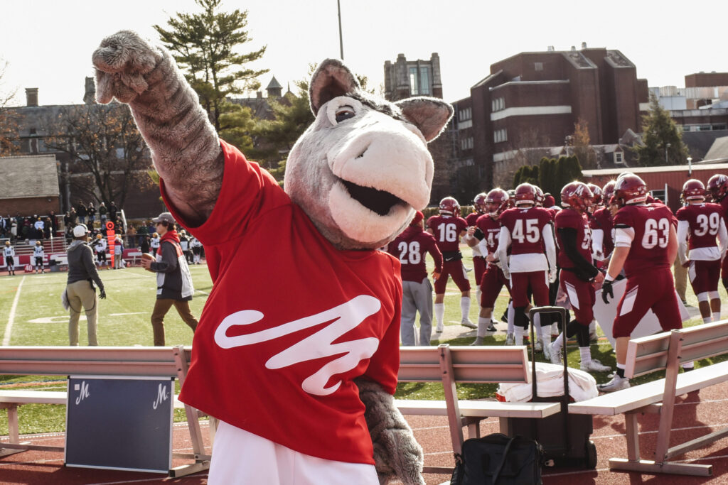 A college mascot of a mule wearing a red T-shirt with a white M on it