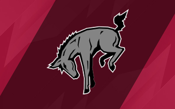 Marti the mule graphic on red background