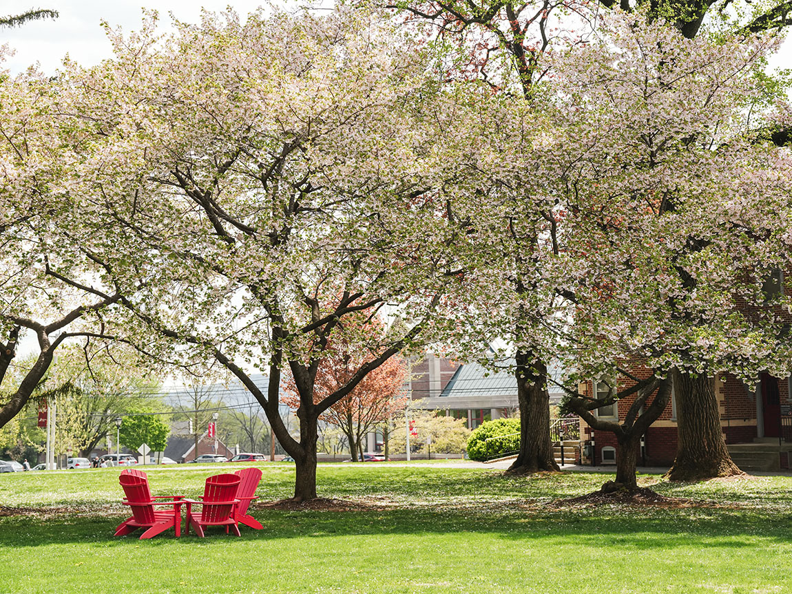 Muhlenberg Announces Faculty Promotions