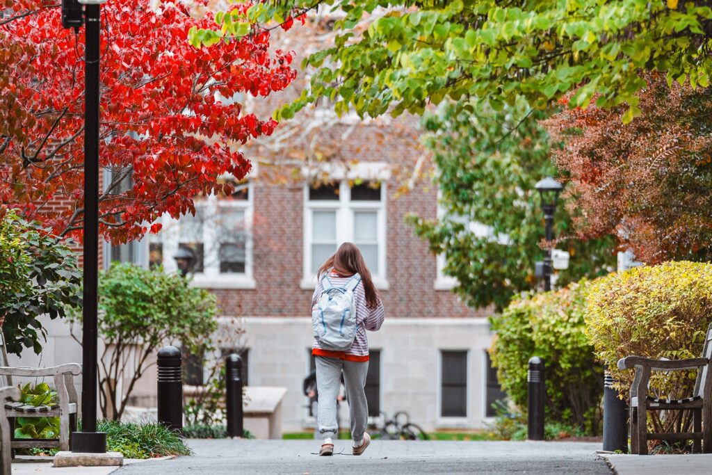 A student walks away from the camera between trees with fall foliage